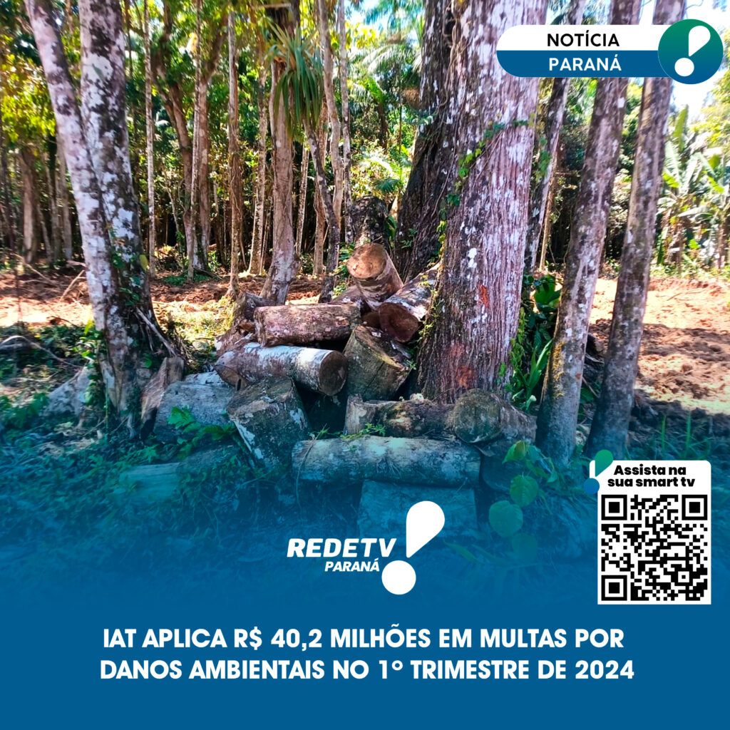 IAT aplica R$ 40,2 milhões em multas por danos ambientais primeiro trimestre de 2024